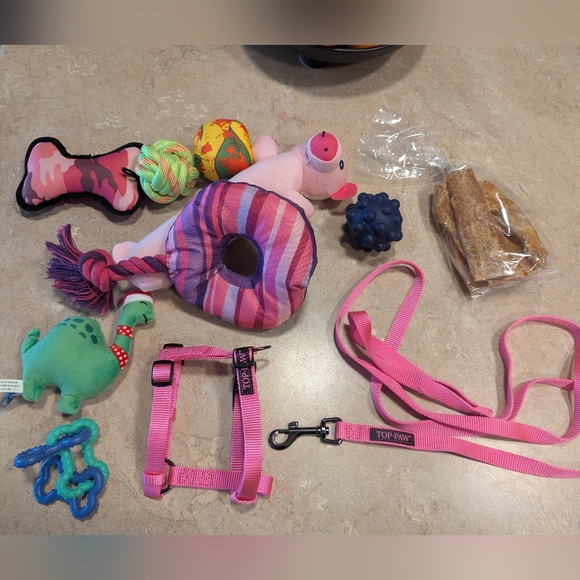 Dogs lot Harness, Leash, Toys... - Picture 15 of 15